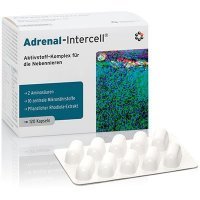 MSE ADRENAL INTERCELL 120 KAPS.